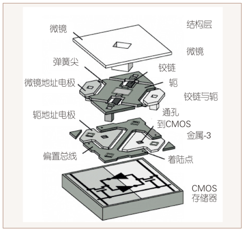 鲍海飞图2